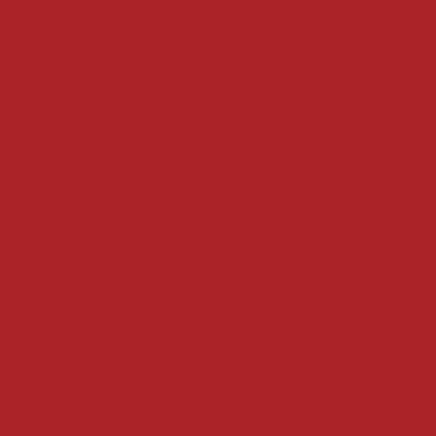 EconoPuff - Red 20" x 12"