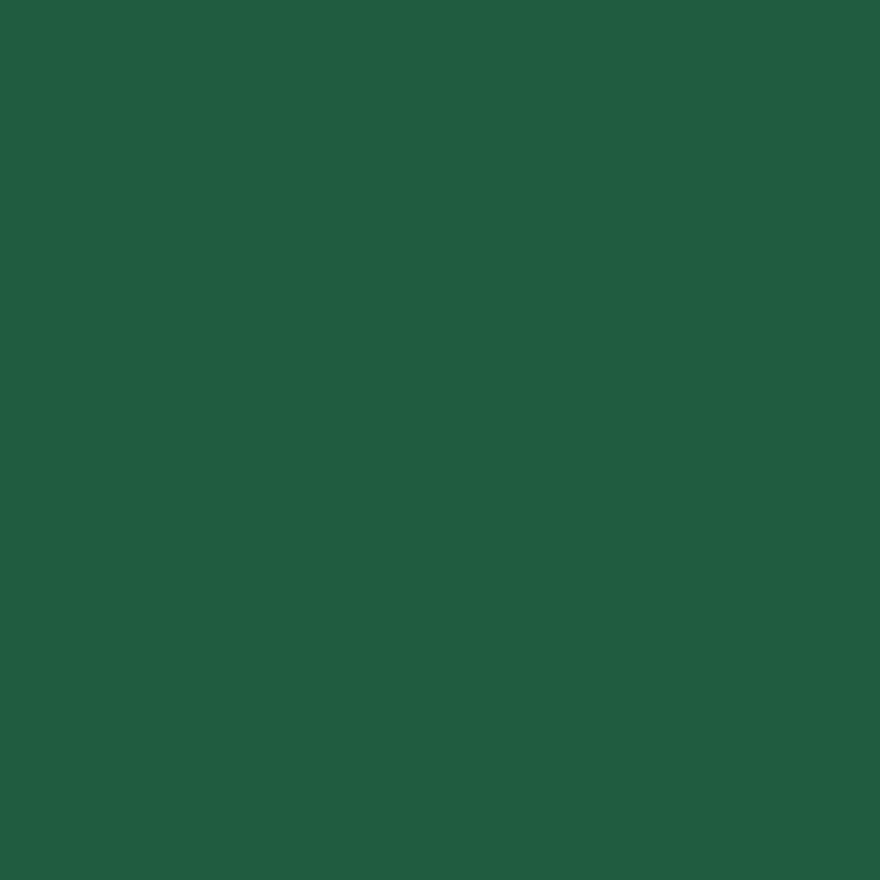 Load image into Gallery viewer, A solid dark green square with a smooth surface, perfect for projects using the EconoV - Green 19.8" x 12" from Quick Transfers. This heat transfer vinyl ensures vibrant finishes and features a warm peel option for easy application.