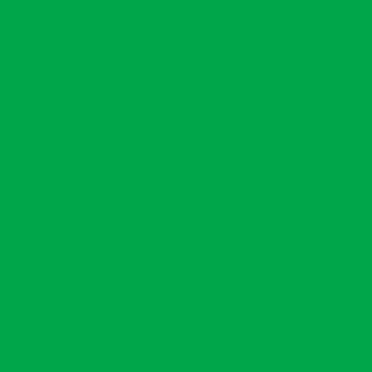 EconoPuff - Neon Green 20" x 12"
