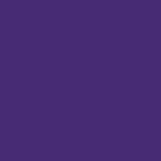 EconoV - Purple 19.8" x 12"