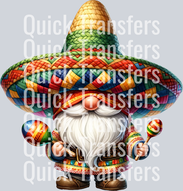 Cinco de Mayo_Gnome11.png