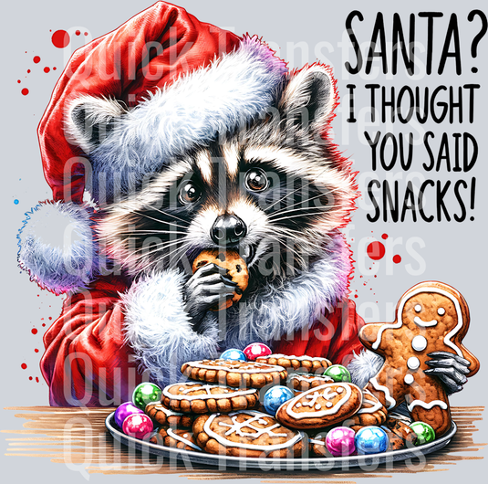 SANTA I THOUGHT YOU SAID SNACKS RACCOON