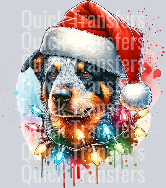 AUSTRALIAN CATTLE DOG SANTA HAT