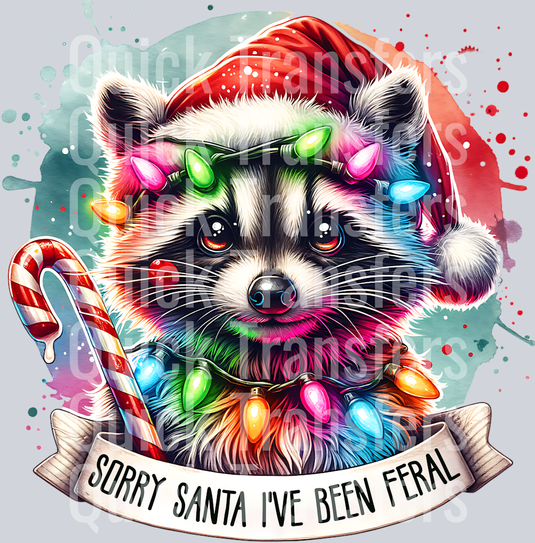 Sorry santa ive been feral