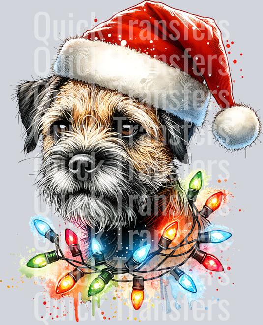 BORDER TERRIER DOG IN SANTA HAT