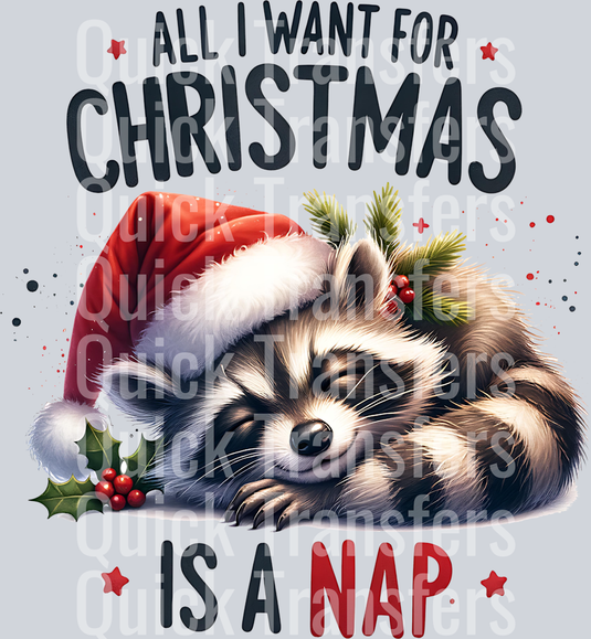 ALL I WANT FOR CHRISTMAS IS A NAP 2