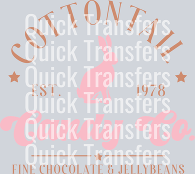 The Vintage Cottontail Bunny Chocolate Jellybeans Transfer by Quick Transfers features 