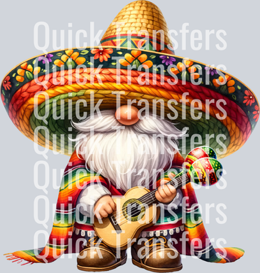 Cinco de Mayo_Gnome8.png