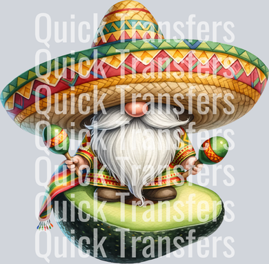 Cinco de Mayo_Gnome16.png