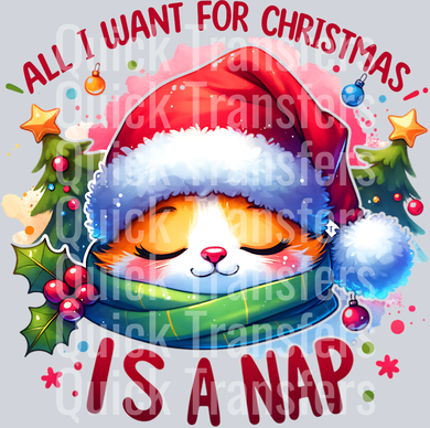 ALL I WANT FOR CHRISTMAS IS A NAP PNG