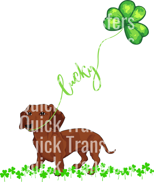 Illustration of a brown dachshund with a shamrock balloon on "Dachshund Dog Shamrock St Patricks Day Design - Ready To Press DTF Transfer" by Quick Transfers, featuring repeating text and green shamrocks on a black background.