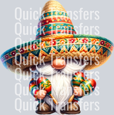 Cinco de Mayo_Gnome24.png