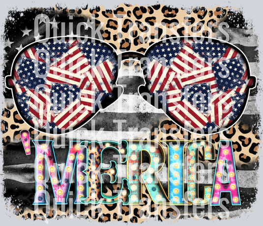 Merica kopyası.png
