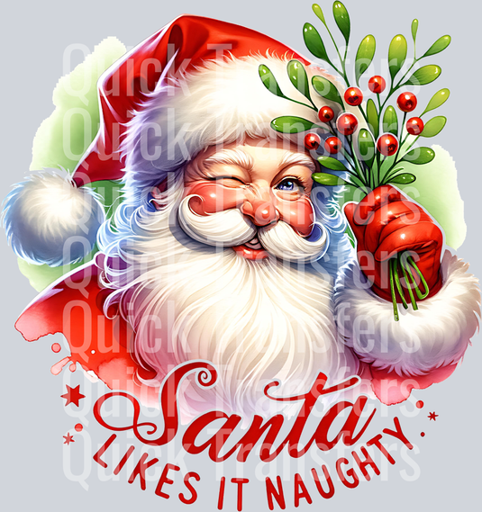 SANTA LIKES IT NAUGHTY